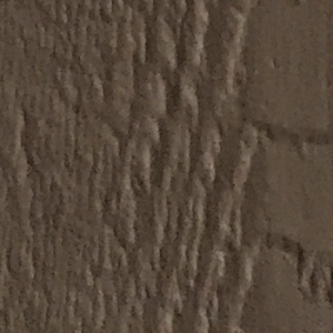 paint sample quaker tan