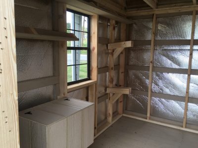 Kennel Storage Shed with Shelving